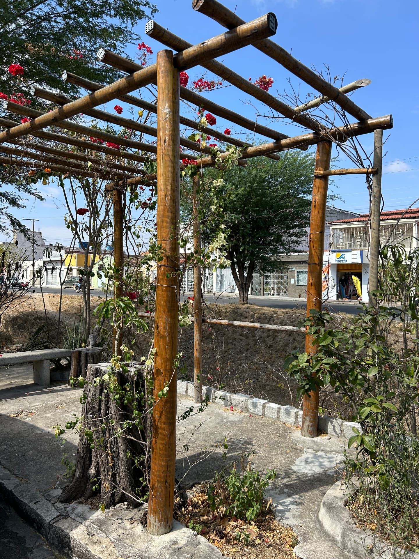 Jardim com plantas e pergolado na Rua do Corte, em Santaluz, Bahia